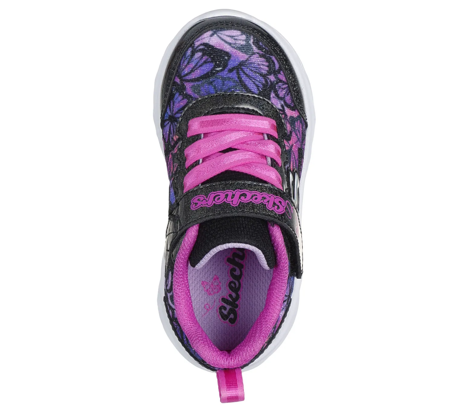 Coastline - Flutter Fly