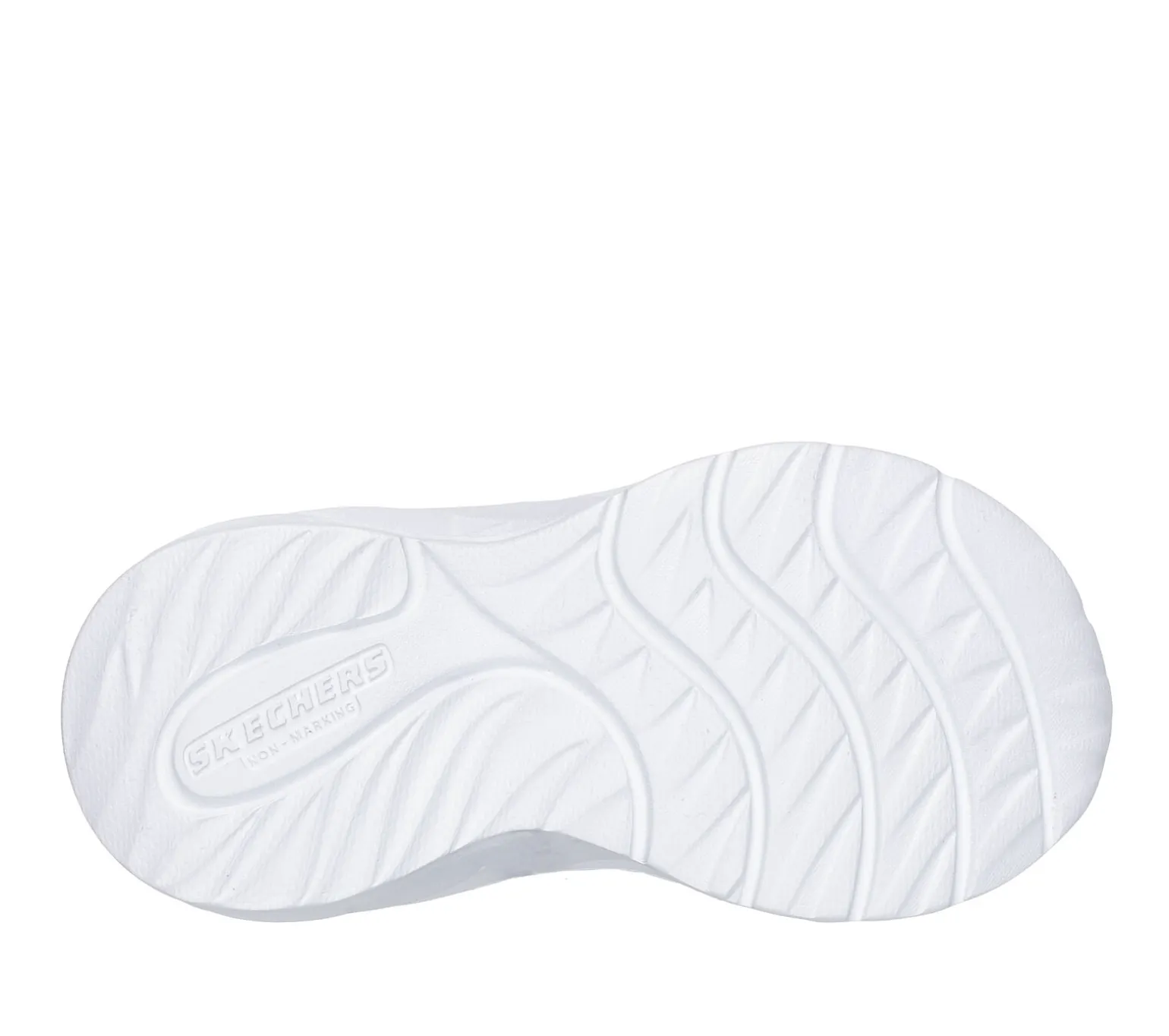 Coastline - Flutter Fly