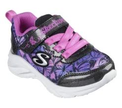 Coastline - Flutter Fly